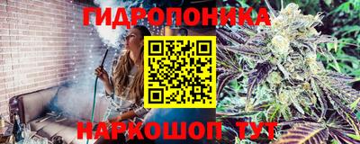 эйфоретик Лесосибирск