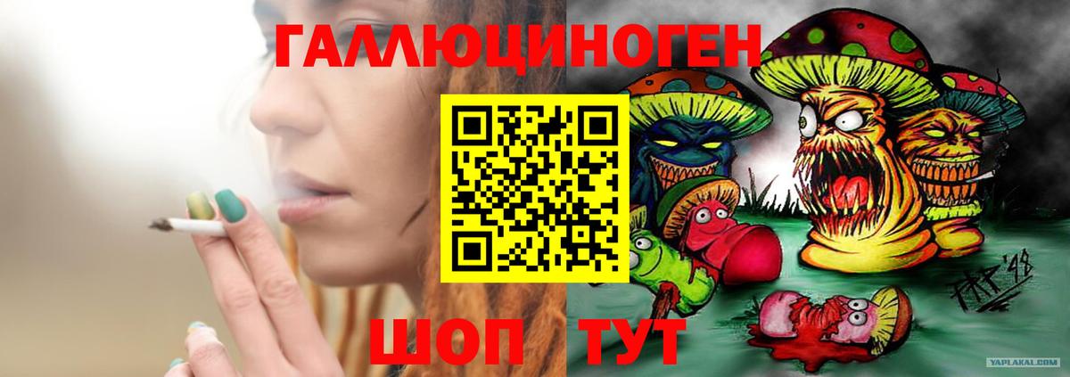 Псилоцибиновые грибы Cubensis  Вход с VPN  Хасавюрт 